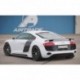 Rieger rear flap spoiler Audi R8 (42)