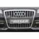 Audi S-grille for Audi A3 8P-Frame frontbumper Audi A3 (8P)